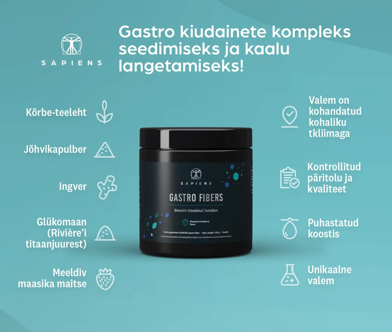 Gastro Kiudained x 3 Komplekt